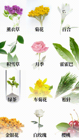 鲜花植物产品展示切换竖版视频