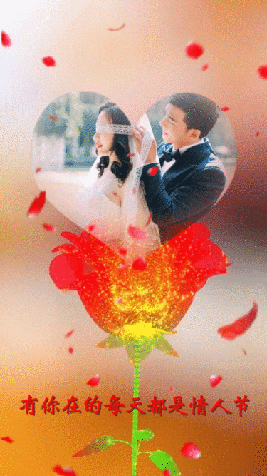 婚庆服务520情人节祝福玫瑰竖版视频