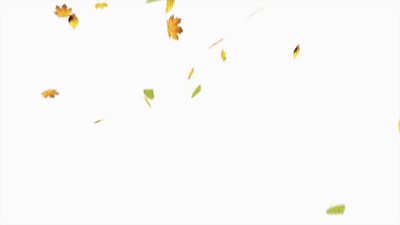 Falling leaves on white screen