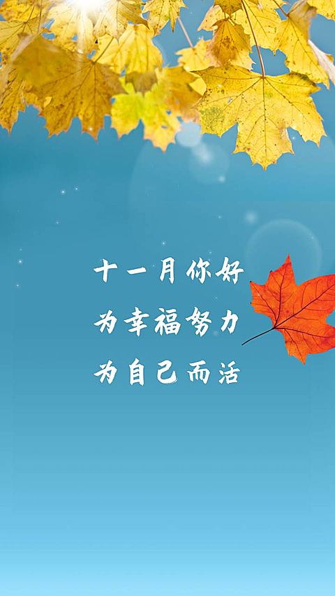 通用11月你好祝福正能量实景竖版视频