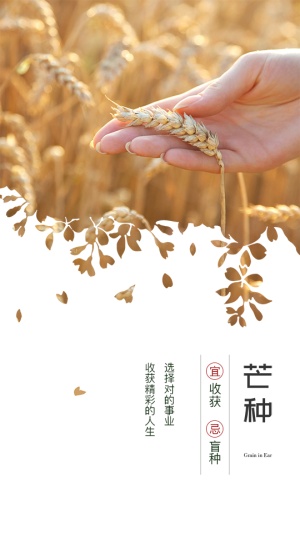 芒种问候实景图文竖版视频