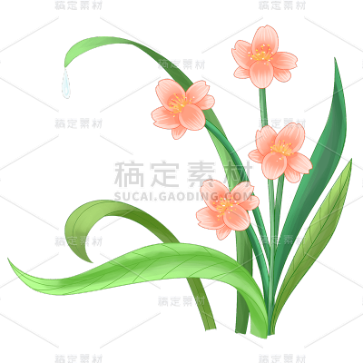 手绘-白露元素创意贴纸花朵