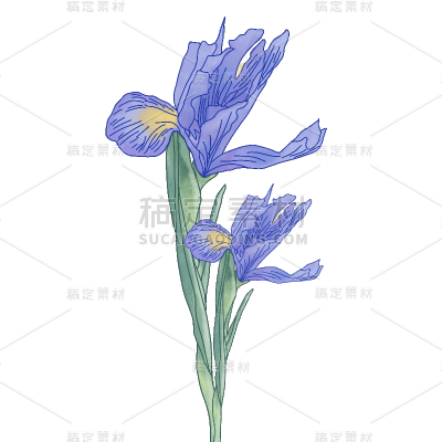 手绘-水彩花卉植物贴纸4
