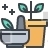 Herbal Medicine