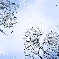 手绘线稿图花朵元素