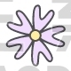 Flower, Phlox, Bifida, Blossom, Nature, Spring