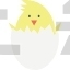 Chick
