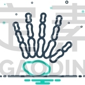Hand Bones