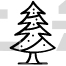 Pine Tree