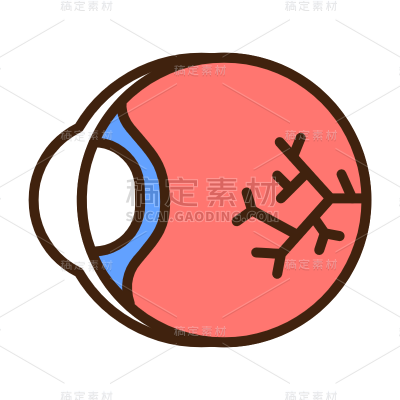 ICON-扁平矢量器官医疗icon-眼球