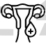 Menstruation