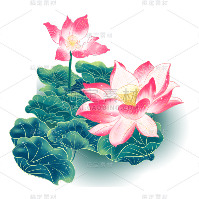 中国风-植物花卉-荷花
