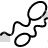 Sperms