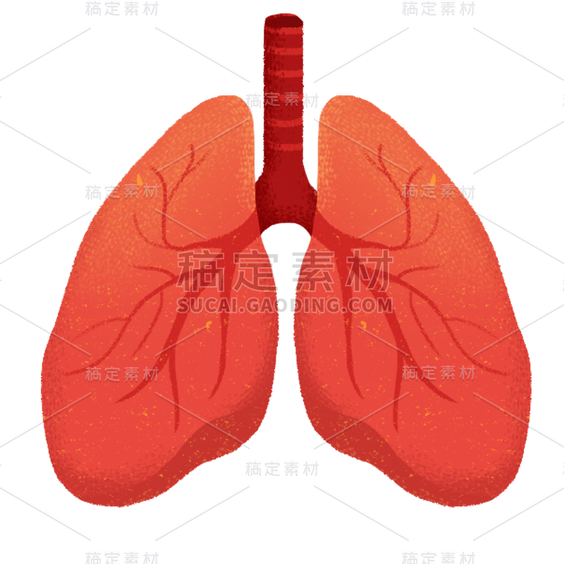 肺部人体器官医疗元素