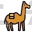 camel