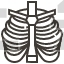Thorax