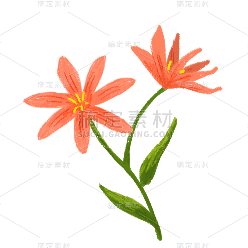 手绘-蜡笔花花小贴纸-野百合