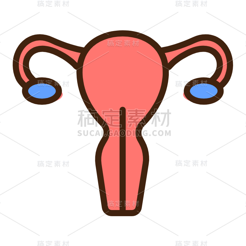 ICON-扁平矢量器官医疗icon-子宫
