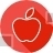Apple, Fruit, Teaching, Study, Basic, School