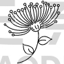 Floral Art Flower Design
