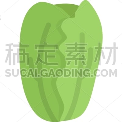 Cabbage, Cooking, Food, Orange, Product, Shop, Supermarket