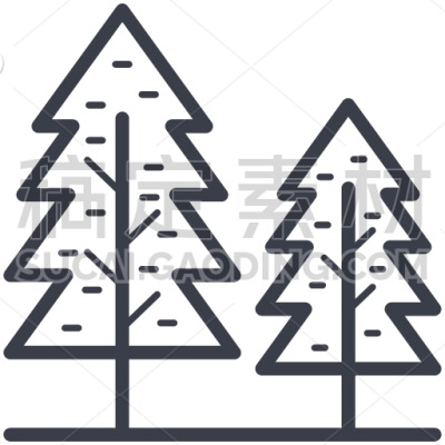 Pine Trees