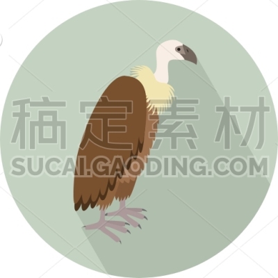 Vulture
