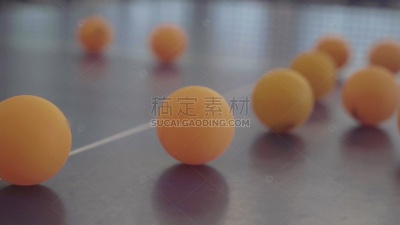 XZ-QL-table tennis