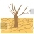Drought