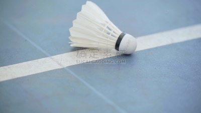 羽毛球