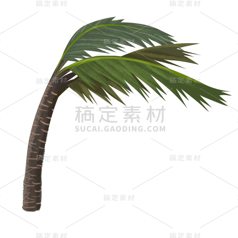 手绘-台风天气人物插画贴纸-椰子树