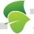 Birch Leaves Design