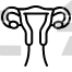 Uterus