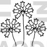 Flower Design