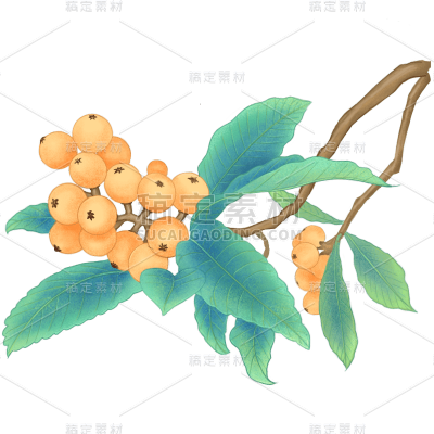 中国风植物元素主题元素
