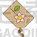 Flower Seeds