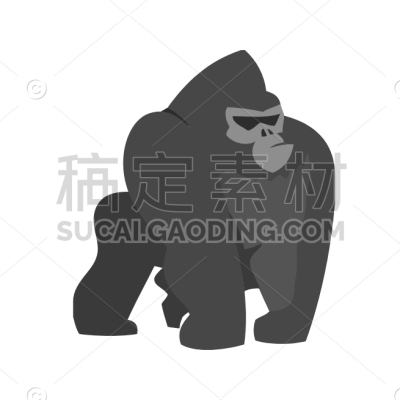 Gorilla