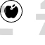 Apple, Fruit, Teacher, Learning, Law, Nature