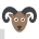Mountain Goat