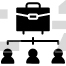Organizational Structure