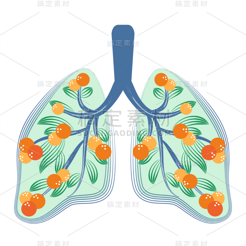 手绘-扁平肺部植物花卉医疗贴纸2