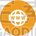world wide web