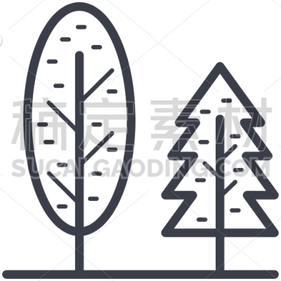 Evergreen Trees