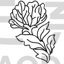 Flower Design