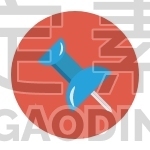 Pin
