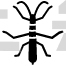 Bug Stick
