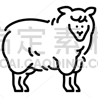 sheep