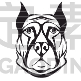 Dog, Face