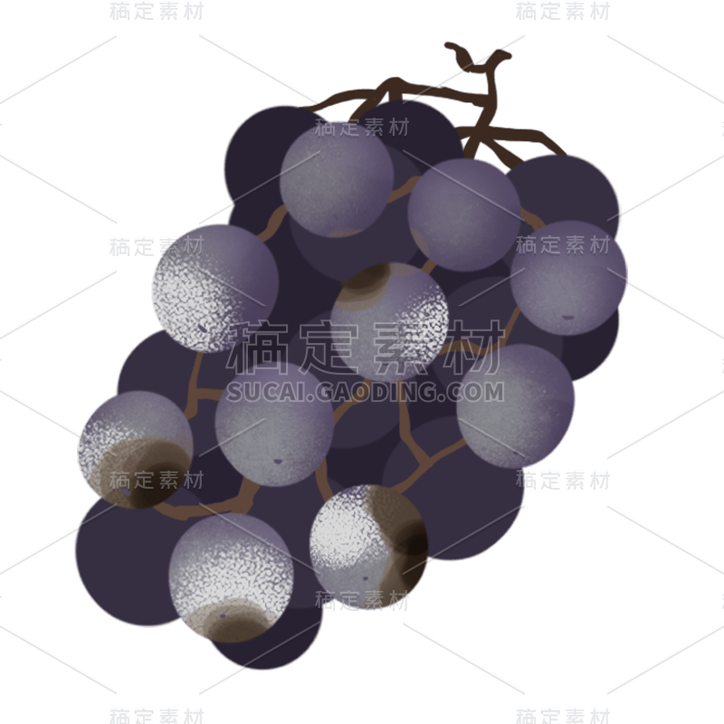 手绘-食物发霉食品卫生贴纸-葡萄