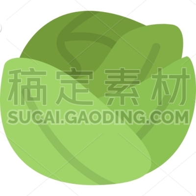 Cabbage, Cooking, Food, Orange, Product, Shop, Supermarket